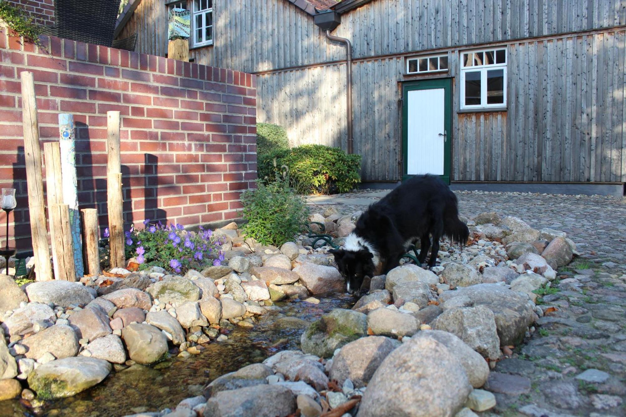 Landgasthof Wildwasser Wolthausen Zewnętrze zdjęcie